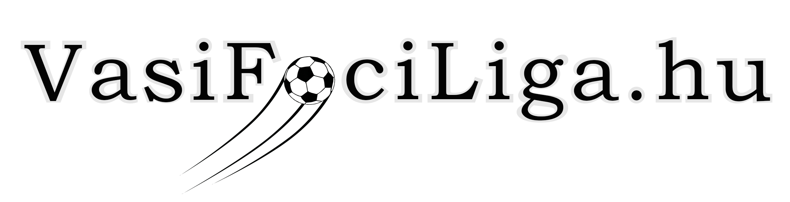 Vasi Foci Liga logo